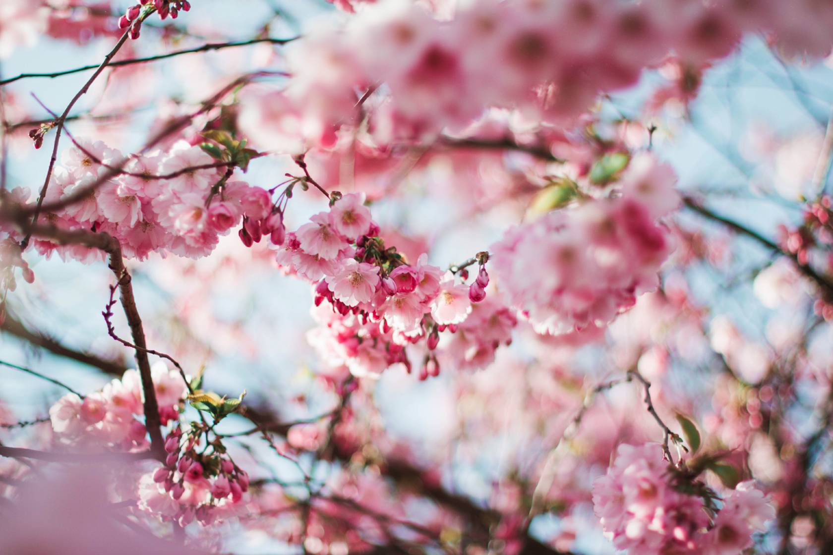 Pinterest