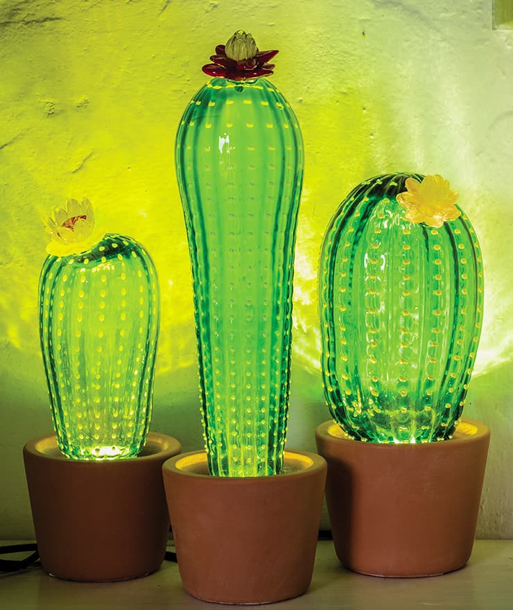Cactus Lights 