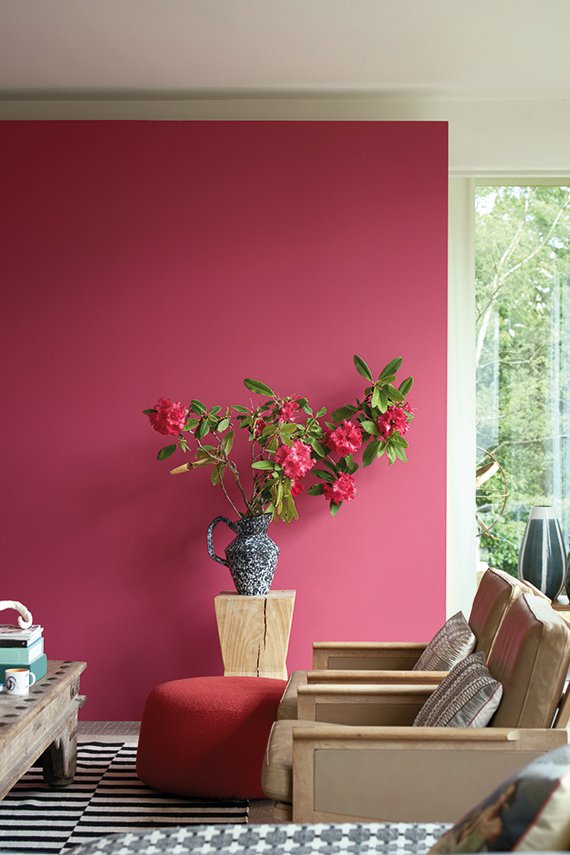 Farrow & Ball X Natural History Museum 