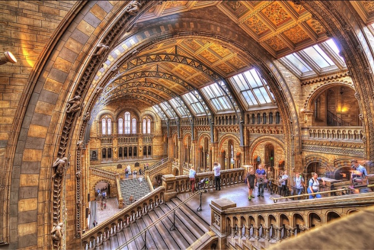 Hintze Hall Natural History Museum