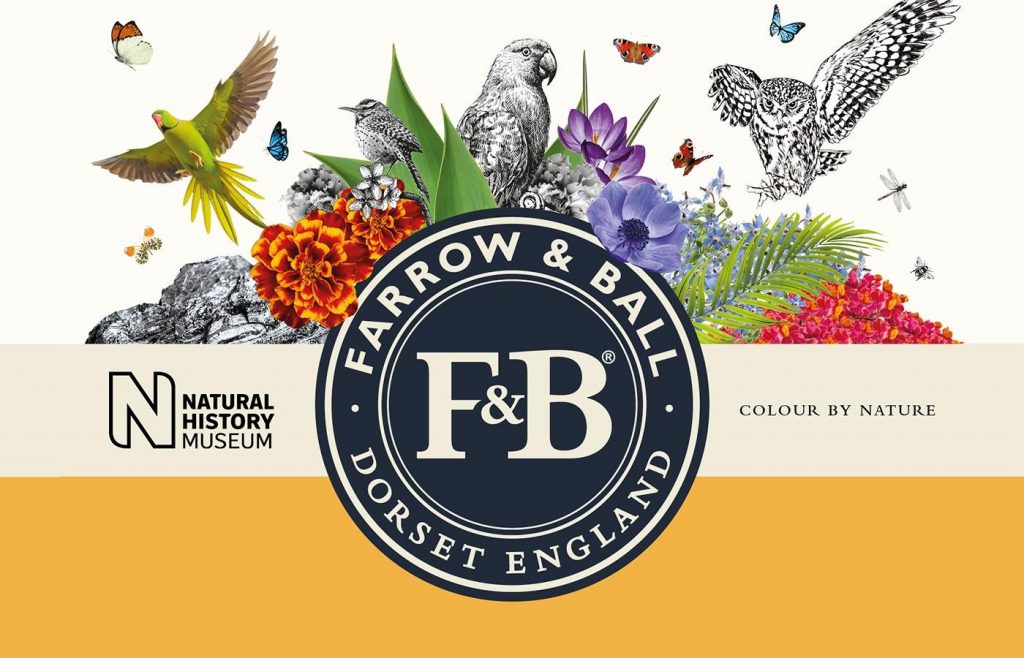 Farrow & Ball X Natural History Museum
